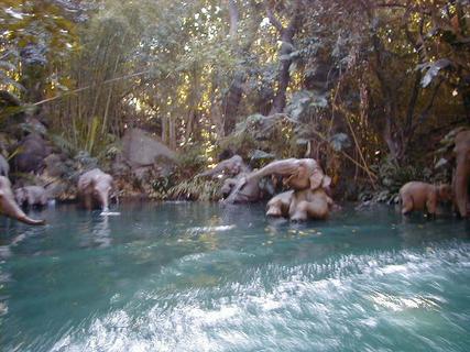 Elephants on jungle cruise.  Really low lighting so pictures didn't work<br>Location: <a href="https://www.google.com/maps/search/?api=1&query=33.81077,-117.92004" target="_new">Disneyland</a>